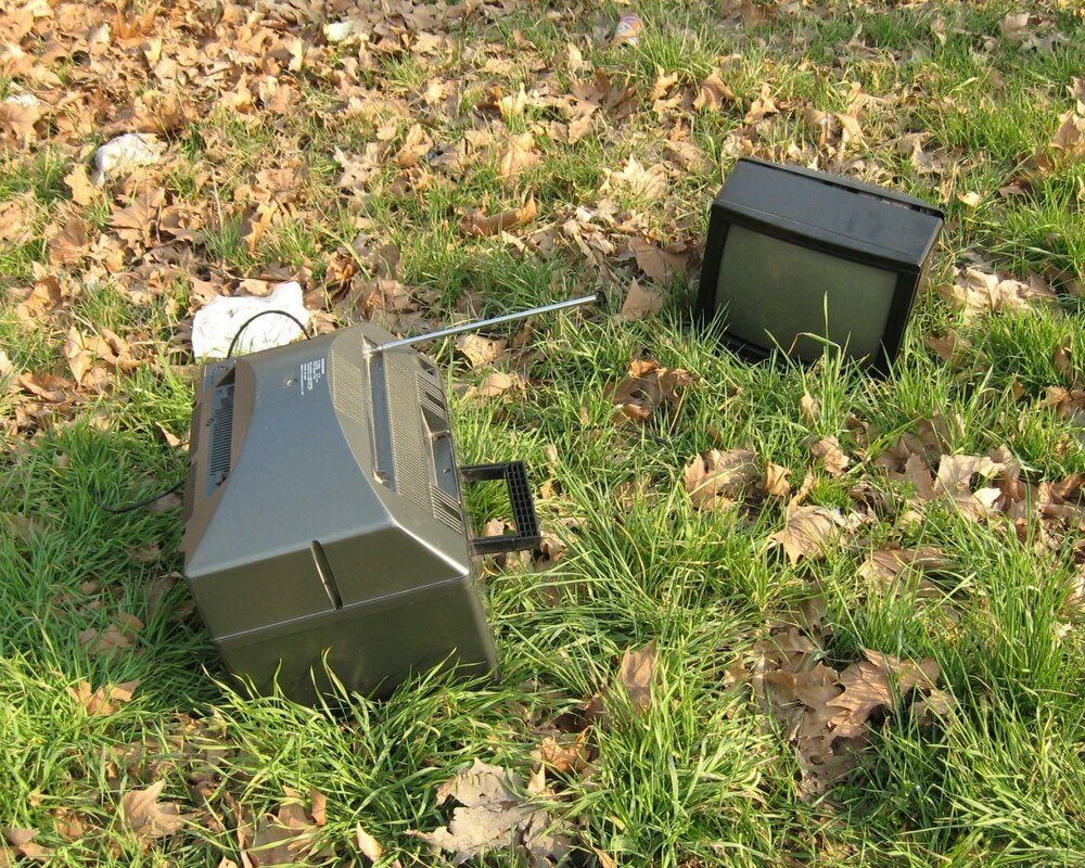 in discarica bisogna buttarle, non al parco!
