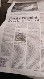 POZZI_PINGUNI_e_CIVILIA.jpg