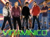 Vidaminico band