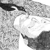 Magpie - via Mail, 30-11-2009