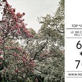Foto di Sha Ribeiro