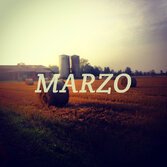 Correva il mese di marzo: Fast Animals and Slow Kids, Appino, Ennio Morricone, Salmo e la scomparsa di Enzo Jannacci e Franco Califano