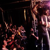 Woodworm festival, la data di Milano
