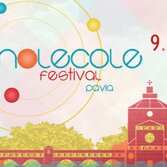 Molecole Festival, dal 9 al 12 luglio a Pavia