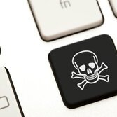 pirateria online