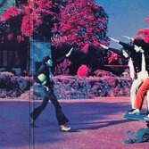 "Pawn Hearts" (Van Der Graaf Generator)