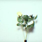 Guarda il video di “Finita così”, il nuovo singolo degli Auden