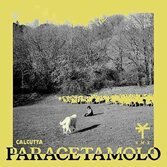 Calcutta "Paracetamolo" (TY1 Remix)
