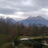 La finestra sul bosco: la quarantena di un musicista montanaro