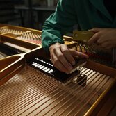 Fazioli: storia dell'ingegnere che voleva costruire la musica