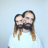 Il fantasma nel guscio di Capibara