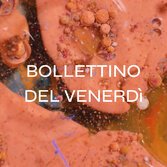 Il Bollettino di venerdì 8 ottobre