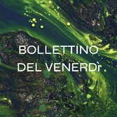 Il Bollettino di venerdì 10 dicembre