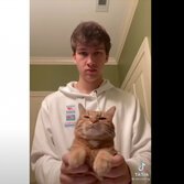Un utente di TikTok mentre fa ballare il proprio gatto