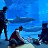 Una registrazione all'Acquario, foto di Silvia Badalotti