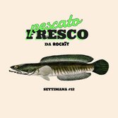 Una tenera Channa (striata); per le amiche Teste di serpente; per le amiche inglesi Snakehead