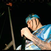 Rondodasosa, foto di Josè Limbert
