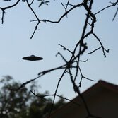 Giornata degli Ufo: dieci canzoni che parlano di alieni