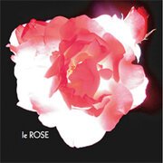 Le Rose