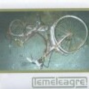 Lemeleagre