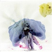 s/t