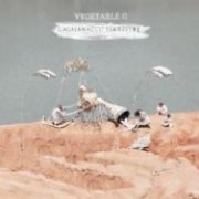 L'almanacco terrestre