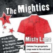 Misty Lame