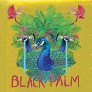 Black Palm
