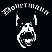 precedente