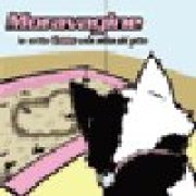 Ho scritto ti amo sulla sabbia del gatto