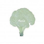 Paesie