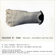 The Girl, the Rabbit and the Crow