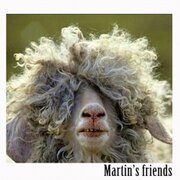 Martin's friends