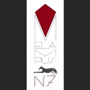 N.7