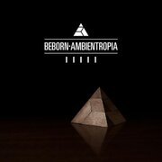 Ambientropia