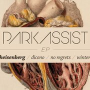 ParkAssist EP