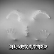 BLACK SHEEP