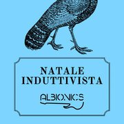 Natale induttivista (2013)