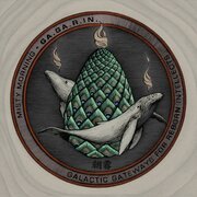 GA​.​GA​.​R​.​IN. - Galactic Gateways for Reborn Intellects