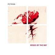 Roses of the day