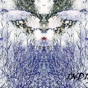 INDIGO EP