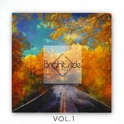 Vol.1