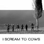I Scream To Cows
