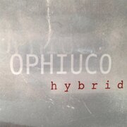 Hybrid