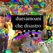 che disastro