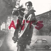 Ants
