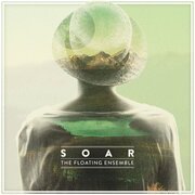 Soar