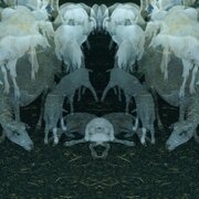 ANTICO