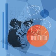 Le linee di ritardo