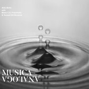 MUSICA ANALOGA
